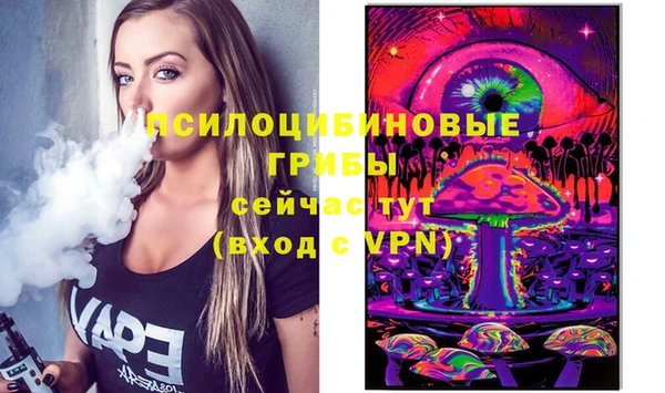 не бодяженный Арсеньев