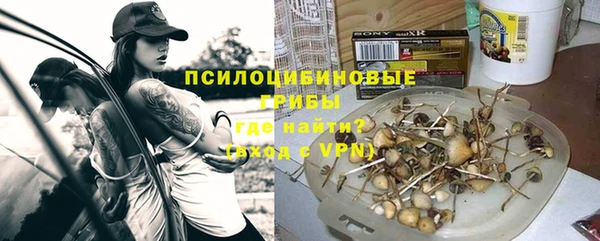 не бодяженный Арсеньев